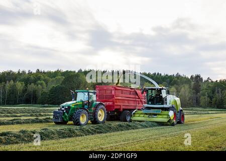 Forage harvester and tractor harvesting crops Stock Photo