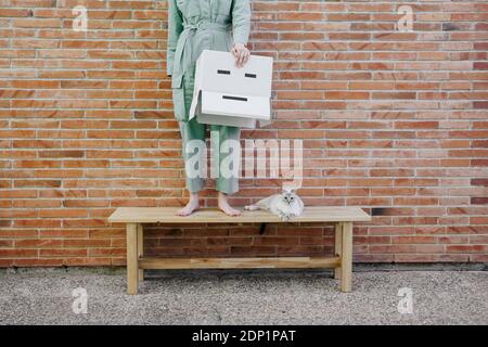 Woman standing on bench with cat in front of brick wall holding  cardboard box with sad face Stock Photo