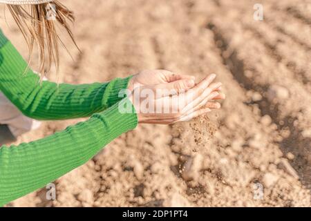 Soil trickling through hands of a woman Stock Photo