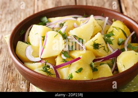 Boiled potatoes served with red onions, herbs and olive oil close-up in a bowl on the table. horizontal Stock Photo
