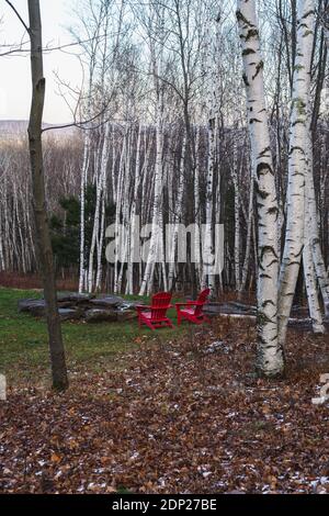 Two red chairs next to a bon fire in front of birch trees Stock Photo