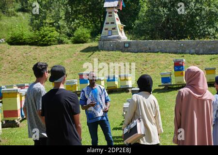 people group visiting local honey production farm Stock Photo