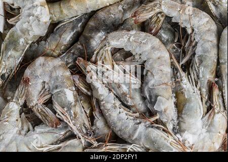 Giant prawns, shrimps in retail pack. White background. Top view. Stock Photo
