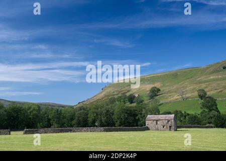 Stone barns in Muker meadows after crop of hay has been harvested. Swaledale in the Yorkshire Dales National Park, UK. Stock Photo