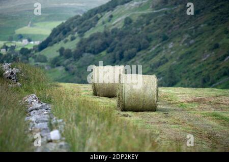 Making round bales of silage on a steep upland meadow in Swaledale, North Yorkshire Stock Photo