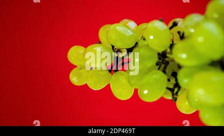 Natural grapes on a red background, green grapes bunch. Stock Photo