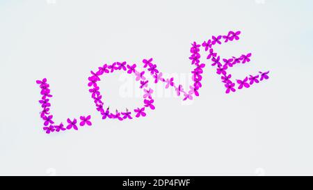 Floral font made of real flowers. Beautiful inscription from lilac. Stock Photo