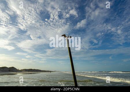 A pelican lands on a decaying pier piling during a warm Florida afternoon. Stock Photo