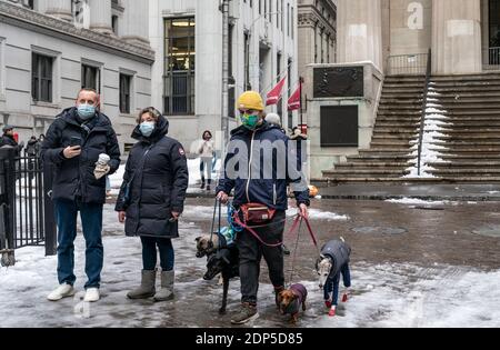 New York, NY - December 18, 2020: Dog walker seen on Wall Street downtown Manhattan Stock Photo