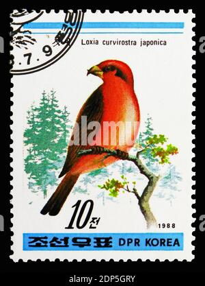 MOSCOW, RUSSIA - SEPTEMBER 15, 2018: A stamp printed in Korea shows Japanese Red Crossbill (Loxia curvirostra japonica), Birds serie, circa 1988 Stock Photo
