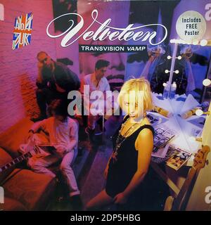 transvision-vamp-velveteen-