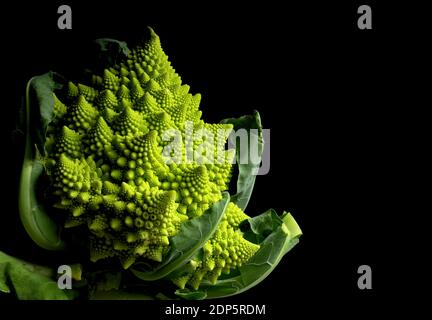 Romanesco cabbage, Italian green cabbage on black background Stock Photo