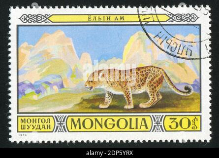 MONGOLIA - CIRCA 1974: stamp printed by Mongolia, shows Leopard, circa 1974 Stock Photo