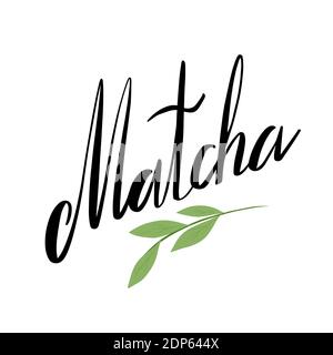 Japanese green tea matcha. Handwritten lettering and twigs with green leaves. Calligraphic inscription of the name of tea. Vector element for menu, st Stock Vector