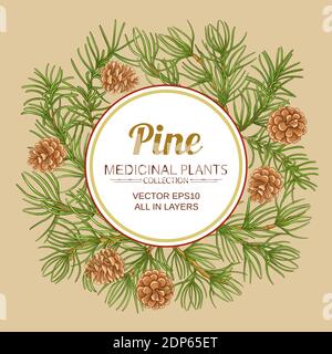 pine vector frame Stock Vector