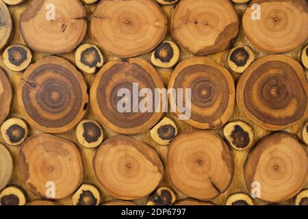 Wood panel made from cuts from a tree trunk. Top view Stock Photo