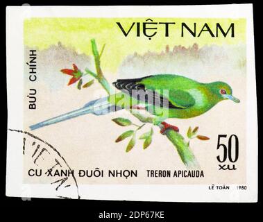 MOSCOW, RUSSIA - SEPTEMBER 26, 2018: A stamp printed in Vietnam shows Pin-tailed Green-pigeon (Treron apicauda), Doves serie, circa 1981 Stock Photo