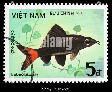 MOSCOW, RUSSIA - SEPTEMBER 26, 2018: A stamp printed in Vietnam shows Red-tailed Black Shark (Labeo bicolor), Fish - Ornamental serie, circa 1984 Stock Photo