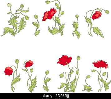 High quality set of vector bright flowers of Poppy in different foreshortenings and forms Stock Vector