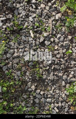 Natural texture with stones, earth and grass. Stock Photo
