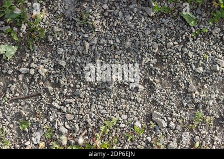 Natural texture with stones, earth and grass. Stock Photo
