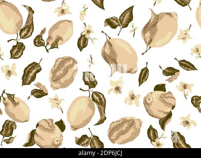 Sepia seamless pattern with lemon fruits and citrus blooming flowers, There are a lot of elements such as fruits, leaves and flowers in different form Stock Vector
