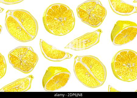 Citrus seamless pattern with halves and slices of fruit. Different parts of lemon citrus fruit Stock Vector