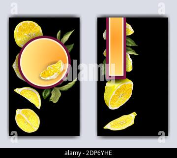 Banner template with citrus branches and slices and lemon fruit halves. Bright graphic drawings on black background with frames of different shapes Stock Vector