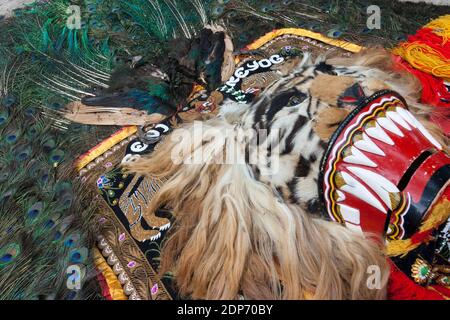 Reog is a typical culture of Ponorogo, East Java. Stock Photo