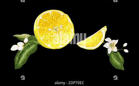 Headline capture banner image with juice half of citrus orange fruit and branches with leaves and flowers on the black background. Horizontal location Stock Vector