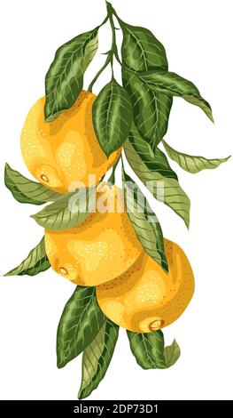 Vertical branch with orange fruits made in graphic design with leaves in bright colors. The image is made in graphic realism Stock Vector