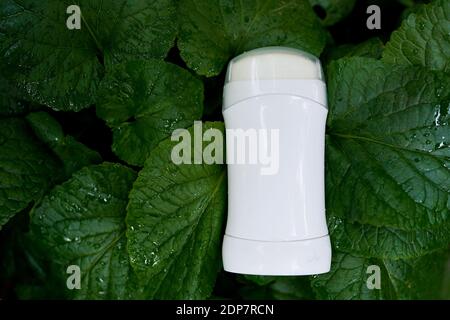 white female deodorant on nature green background Stock Photo