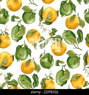 Seamless pattern with fruits. Fresh oranges and limes with flowers on the branches with leaves in graphic vector illustration in bright realistic colo Stock Vector