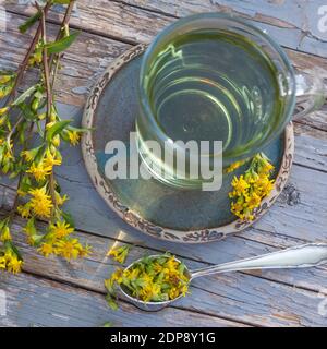 Goldruten-Tee, Goldrutentee, Goldrute-Tee, Goldrutetee, Tee aus Goldruten-Blüten, Heiltee, Kräutertee, Blütentee, Gewöhnliche Goldrute, Echte Goldrute Stock Photo