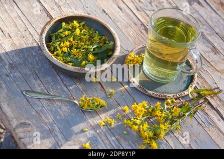 Goldruten-Tee, Goldrutentee, Goldrute-Tee, Goldrutetee, Tee aus Goldruten-Blüten, Heiltee, Kräutertee, Blütentee, Gewöhnliche Goldrute, Echte Goldrute Stock Photo