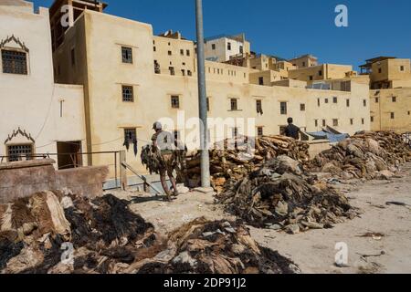 Chouara leather tannery in Fez, Morocco. Carrying the collected hides into the tannery Stock Photo