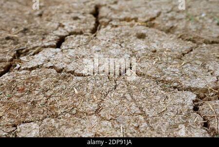 Closeup of cracked dry soil surface texture for the concept of SAVE THE EARTH Stock Photo