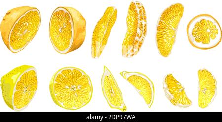 Fruit set with lemon and orange in halves and slices in different parts in realistic vector graphic illustration in bright colors Stock Vector