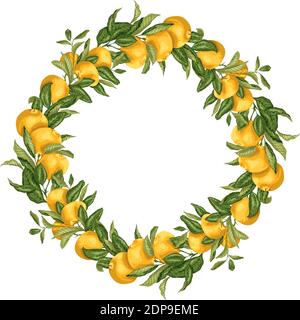 Vector illustration template wreath with citrus fruit tree branch with fruits and leaves in bright colors Stock Vector