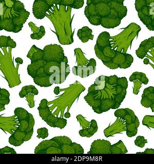 Fresh Juicy Green Broccoli colorful fresh Vegetable Seamless Pattern, isolated on white. Stock Vector