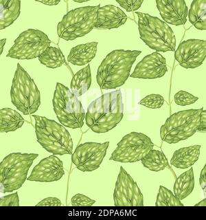 Seamless pattern with jasmine bush leaves in realistic vector graphic illustration Stock Vector