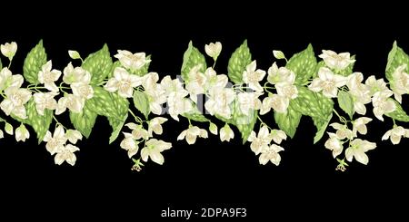 Horizontal seamless pattern ornamental line with jasmine flowers, buds and leaves in realistic graphic vector illustration Stock Vector