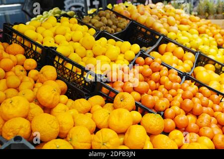 Citrus fruits in a market, oranges, lemons and mandarins on showcase Stock Photo