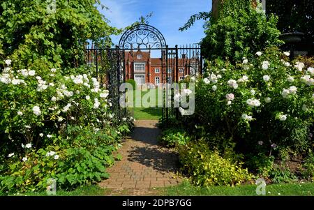 Helminngham Hall Gardens with roses and iron gate. Stock Photo