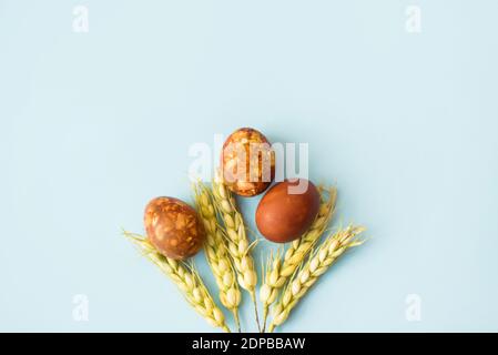 Three Easter eggs with wheat ears on blue background with a copy space Stock Photo