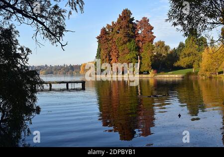 Autum in northwest at Greenlake park with docks, ducks and trees. Greenlake - Seattle, Washington state USA Stock Photo