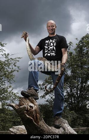 GREAT BRITAIN / England /Dartmoor/Dartmoor Zoo Director Benjamin Mee with Red Tailed Boa called Kevin. Stock Photo