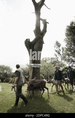 GREAT BRITAIN / England /Dartmoor/Dartmoor Zoological Park near Plymouth. Stock Photo