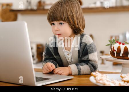 Focused beautiful boy using laptop while sitting at home kitchen Stock Photo