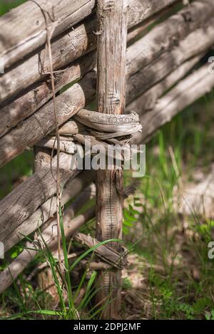 Handmade fence of spruce with a bundle of spruce branches from the Swedish forest which is an old craft that is most visible in the Swedish countrysid Stock Photo